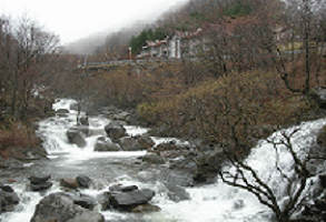 지리산자연휴양림