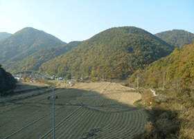 환경친화적 마을조성