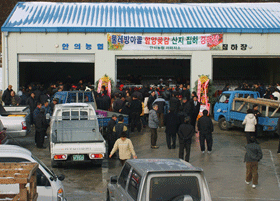 곶감 경매장 