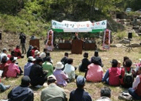 산나물 축제
