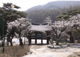 동호정