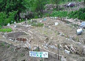 생태텃밭 조성
