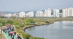 억새군락지02