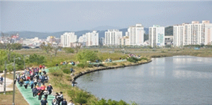 억새군락지04